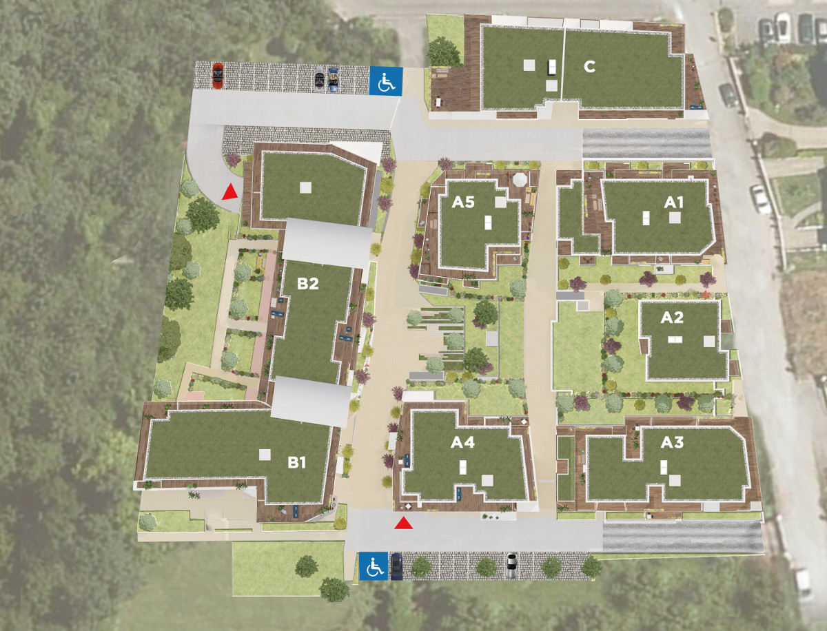 BDM Residences - Plan de masse Résidence Les Terrasses du Verger à Saint-Thibault-des-Vignes